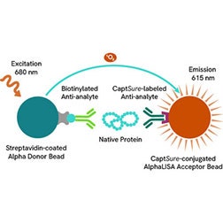 Alphasure Form Target engagement reagents | Revvity