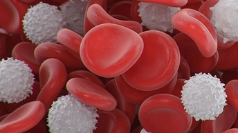 Automated Blood Fractionation-Revvity-512x288