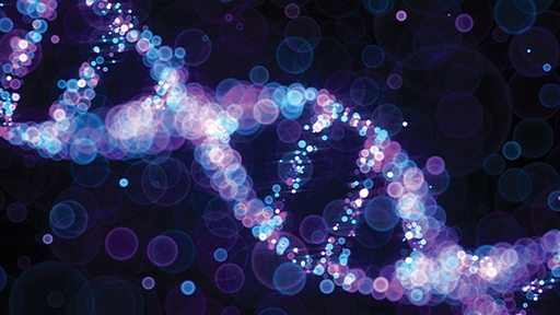 labeled nucleotides_512x288.jpg