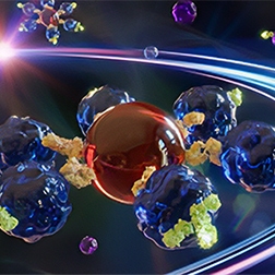 1284204 L4 Assays and Reagents_LPXImageSolutionCard