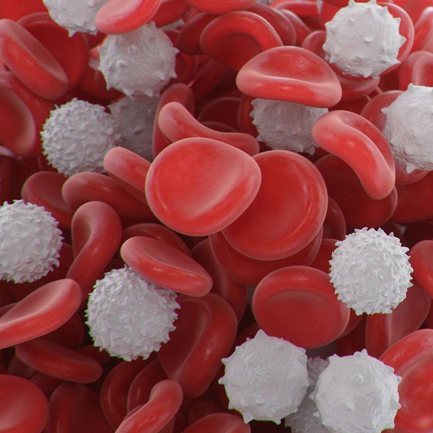 Automated Blood Fractionation-Revvity-872x872