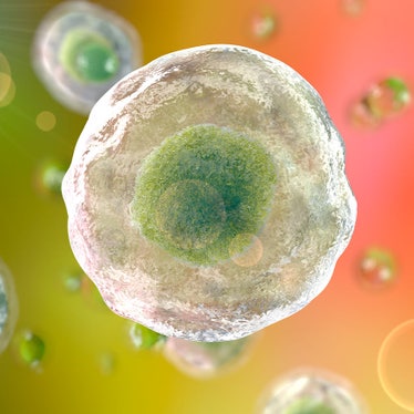 cell-line_Square_872x872.jpg