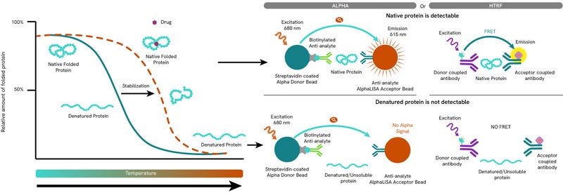 cetsabale-flyer-figure-2b-800px