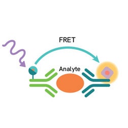 HTRF block 2