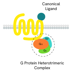 1283450_GPCR-category-page-rvty-2