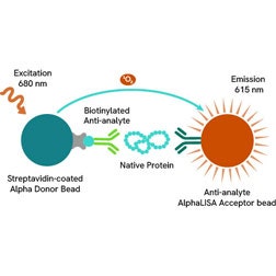 Block1-Accordion-native-protein-alpha