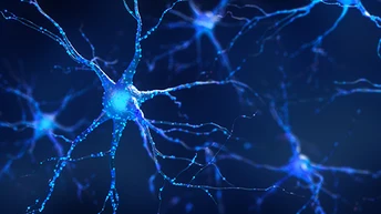 neuroscience-research-reagent thumbnail