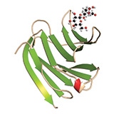 RecProteins_SectionRUO_160x160