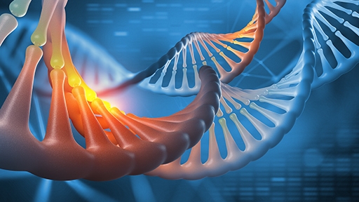 labchip-nucleic-acid-analysis-512x288