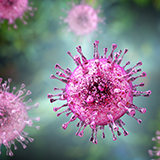 Cytomegalovirus section image-160x160.png
