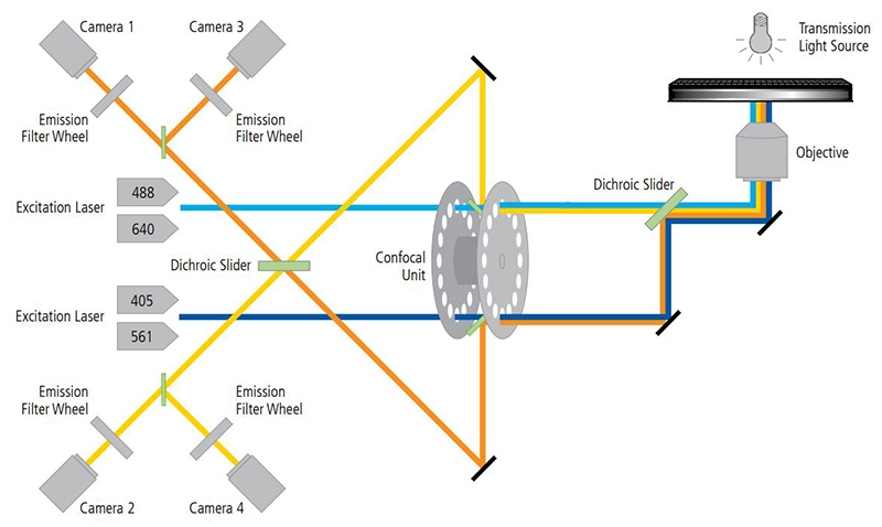 confocal-imaging_800x478.jpg