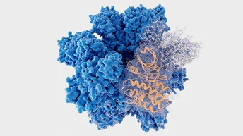 Protein Kinase 512x288