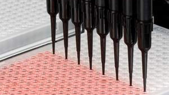 PCR Solutions-Revvity-512x288