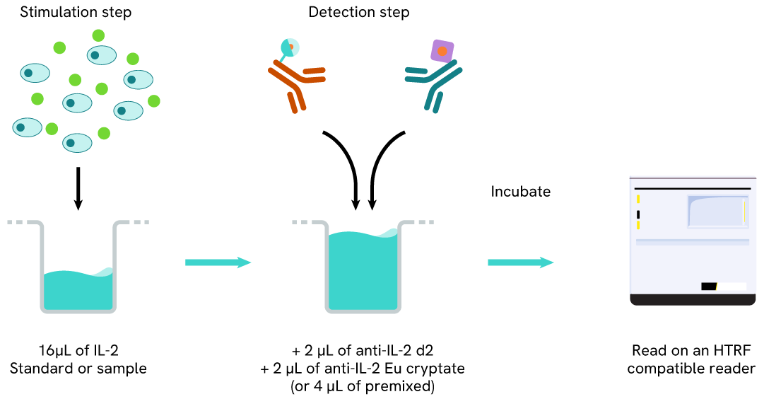 Principle of the HTRF Human IL2 assay