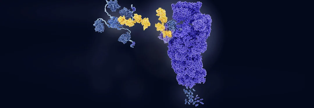 targeted protein degradation