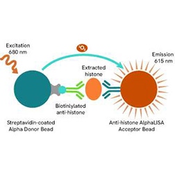 block4-AlphaLisa-Histone-Epigenetics