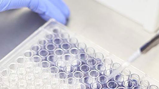 Immunoassays-New-512x288