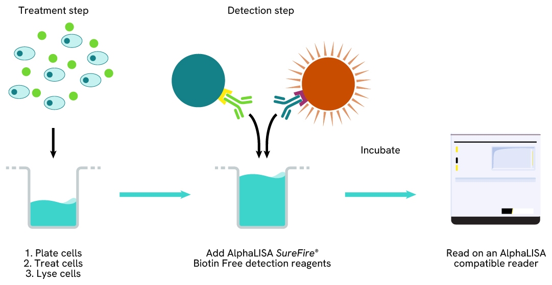 AlphaLISA SureFire Biotin-Free Human and Mouse Phospho-ERK1