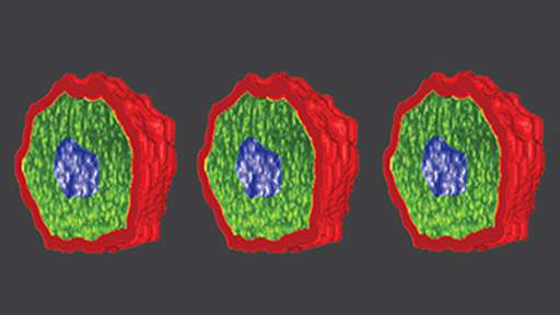 1111102-TCH-3D-Volumetric-and-Zonal-Analysis-512x288