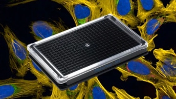 1285700 dig rebrand phenoplate webpage banners_512x512 (1).jpg