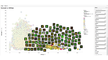 1290400_Phenotypic screening_512x288.jpg