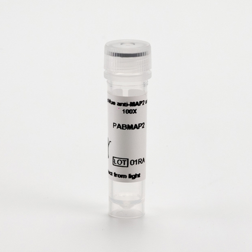 PhenoVue anti-MAP2 antibody 100X