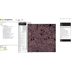 1327811_Signals-Image-Artist-Cell-Painting-Analysis_252x252