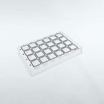 Flexible-24, Clear PET 24-well Flexible Microplate