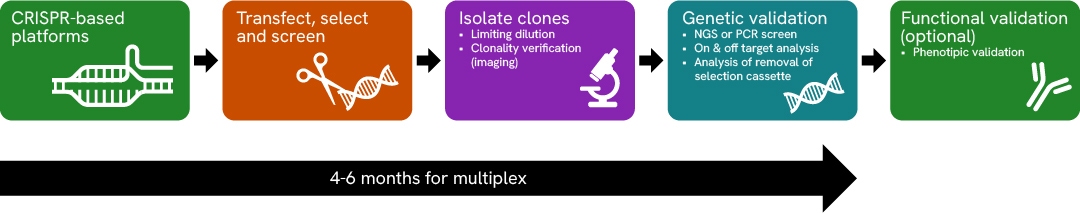 1554101-ILL-Biop-CLE-workflow-image