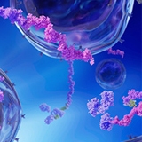 160x160_Multiomics Section 1 image