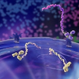 160x160_Multiomics Section 3 image
