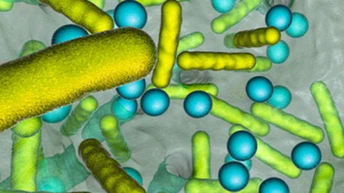 16s-rrna-library-prep-solutions-512x288