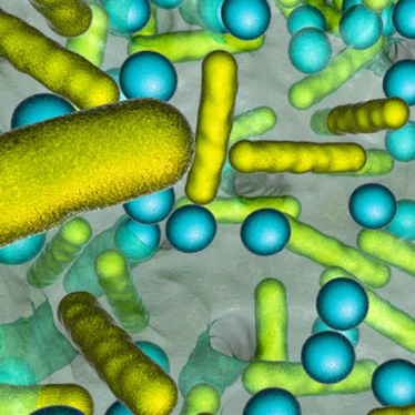 16S rRNA Sequencing Kit for Library Preparation | Revvity | Revvity