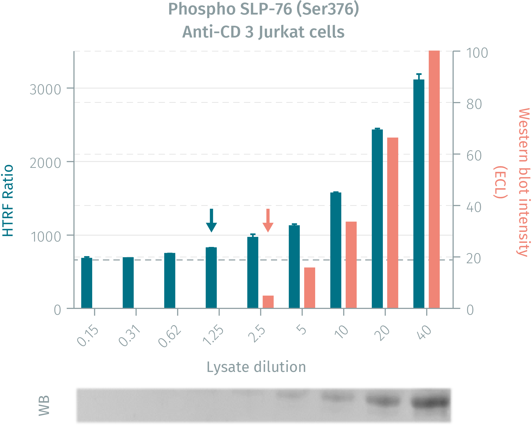 1assay-validation-slp-76-phospho-s376-1.png