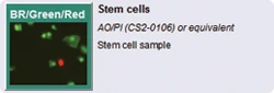 2000 icon stem cells