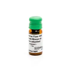 PhenoVue Fluor 488 - Goat Anti-Mouse Antibody Cross-Adsorbed