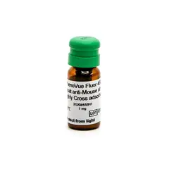 PhenoVue Fluor 488 - Goat Anti-Mouse Antibody Highly Cross-Adsorbed