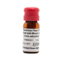 PhenoVue Fluor 555 - Goat Anti-Mouse Antibody, Cross-Adsorbed