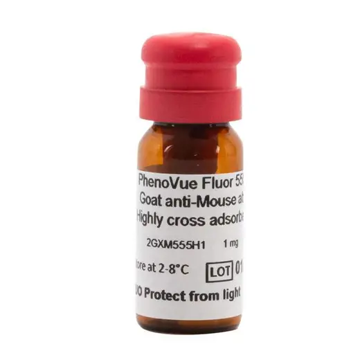 PhenoVue Fluor 555 - Goat Anti-Mouse Antibody, Highly Cross-Adsorbed