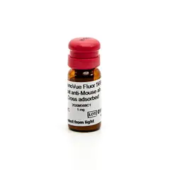 PhenoVue Fluor 568 - Goat Anti-Mouse Antibody Cross-Adsorbed