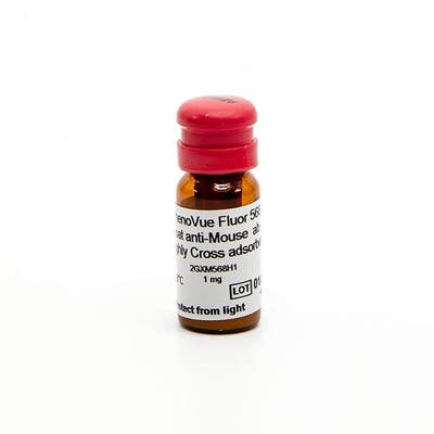 PhenoVue Fluor 568 - Goat Anti-Mouse Antibody Highly Cross-Adsorbed