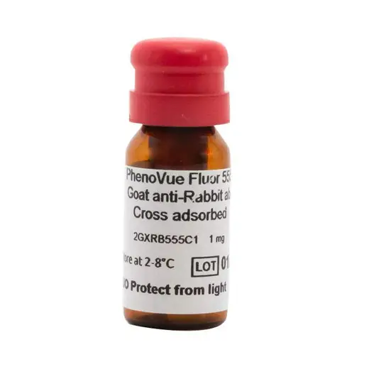 PhenoVue Fluor 555 - Goat Anti-Rabbit Antibody, Cross-Adsorbed