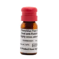 PhenoVue Fluor 555 - Goat Anti-Rabbit Antibody, Highly Cross-Adsorbed