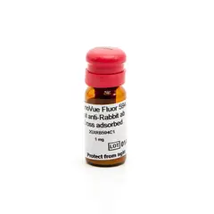 PhenoVue Fluor 594 - Goat Anti-Rabbit Antibody Cross-Adsorbed