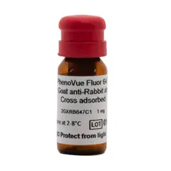 PhenoVue Fluor 647 - Goat Anti-Rabbit Antibody, Cross-Adsorbed
