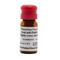 PhenoVue Fluor 647 - Goat Anti-Rabbit Antibody, Highly Cross-Adsorbed