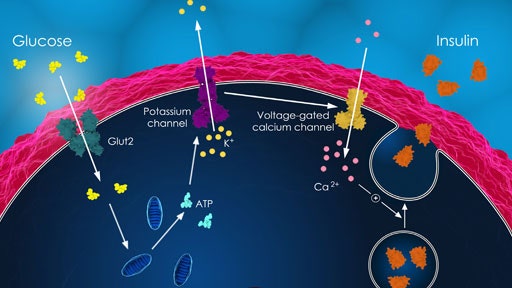 3d-culture-system512