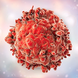 3D OncoSignature cell panel screening services