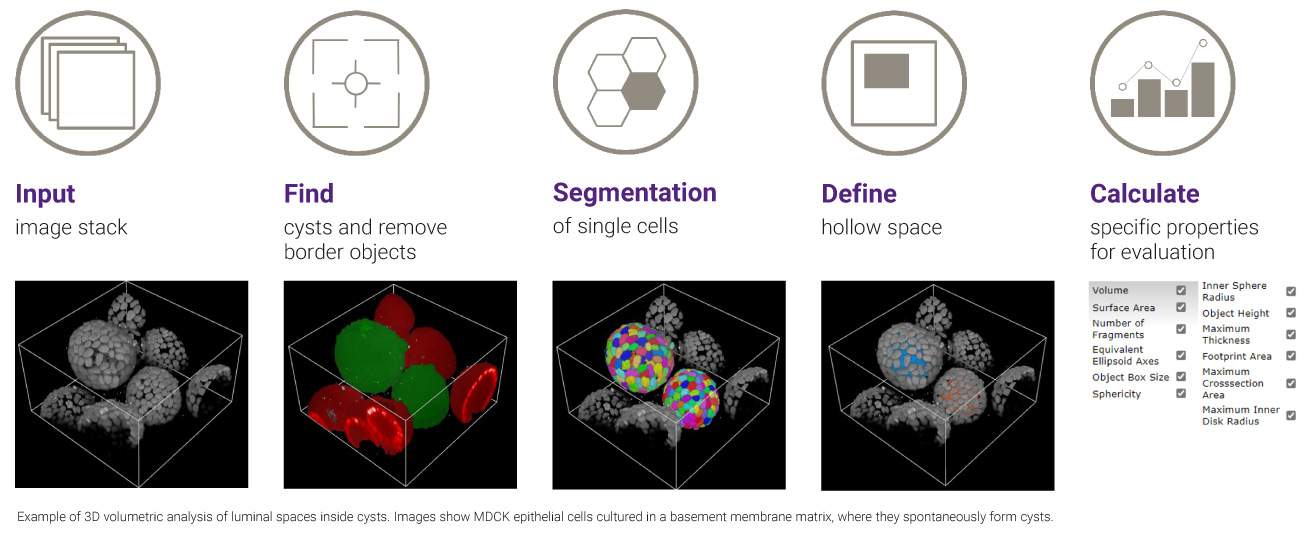 3dCellImaging.jpg