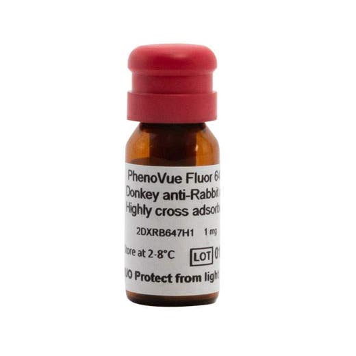 PhenoVue Fluor 647 - Donkey Anti-Rabbit Antibody Highly Cross-Adsorbed